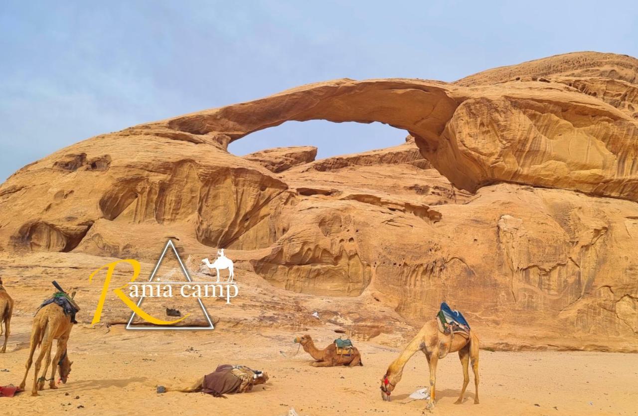 Wadi Rum,Rania Camp 외부 사진