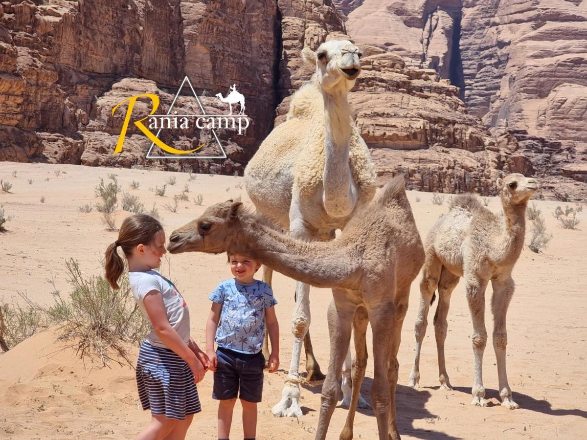 Wadi Rum,Rania Camp 외부 사진