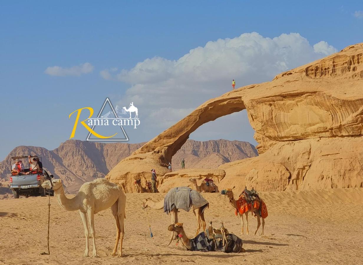 Wadi Rum,Rania Camp 외부 사진