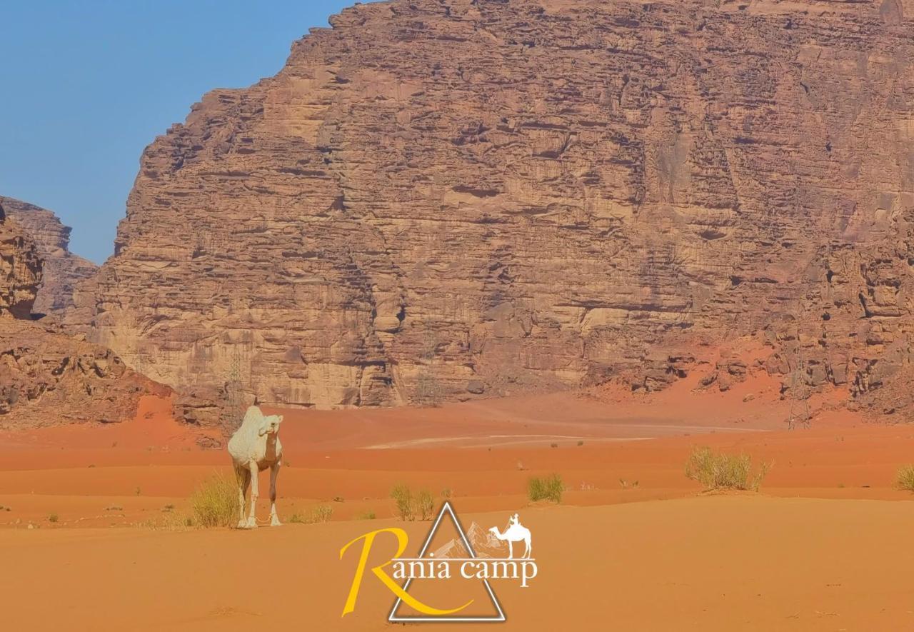 Wadi Rum,Rania Camp 외부 사진